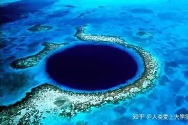 库里每场比赛都会看结果意外(库里每场比赛都会看结果意外发生吗)|安博体育在线直播